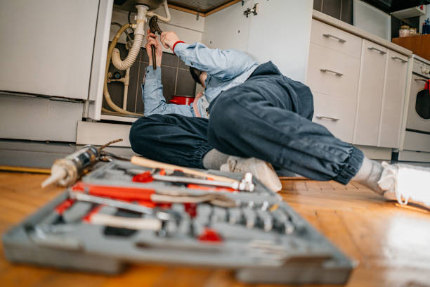 Best Affordable Plumbing Services  in Pagedale, MO