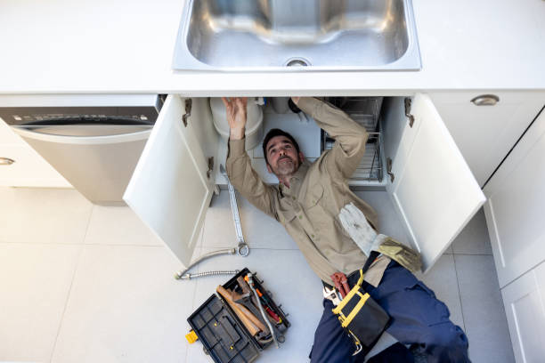 Best Toilet Repair Services  in Pagedale, MO